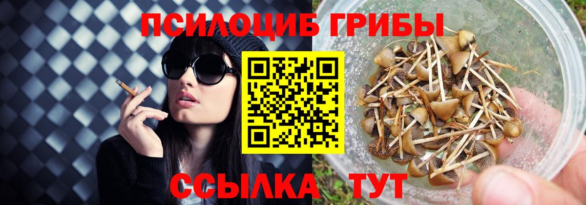Псилоцибиновые грибы GOLDEN TEACHER Канск