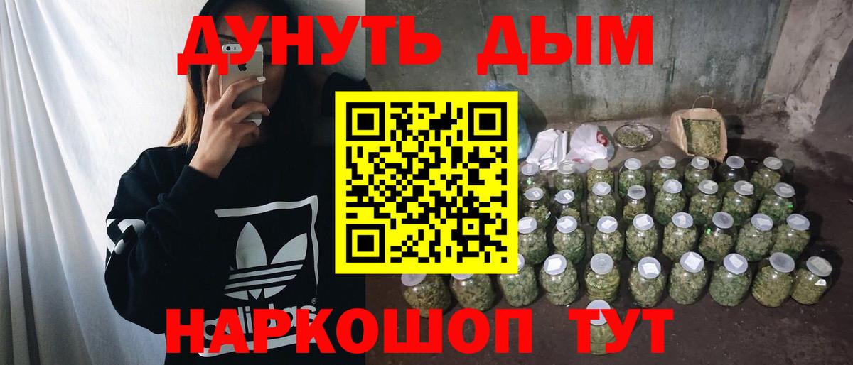 Конопля план Канск